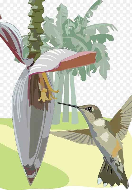 �ȴ����ֶ�ֲ��廭-������