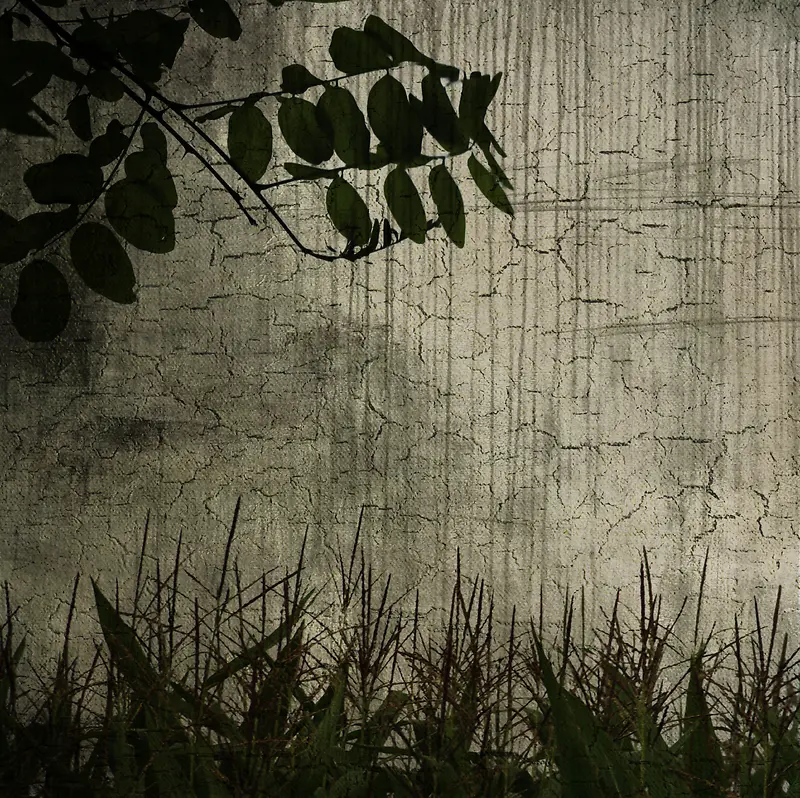 ����������Ҷ�̲ݱ���-������