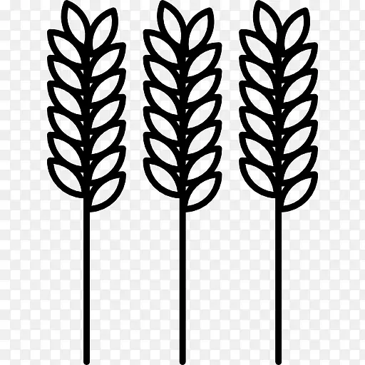 ����ͼ��-������