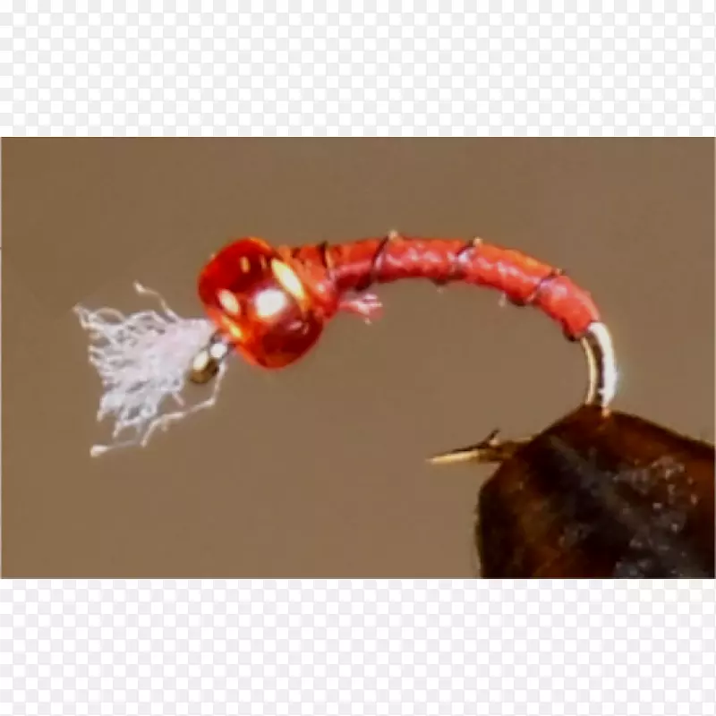 ������˿��������ɫ-������