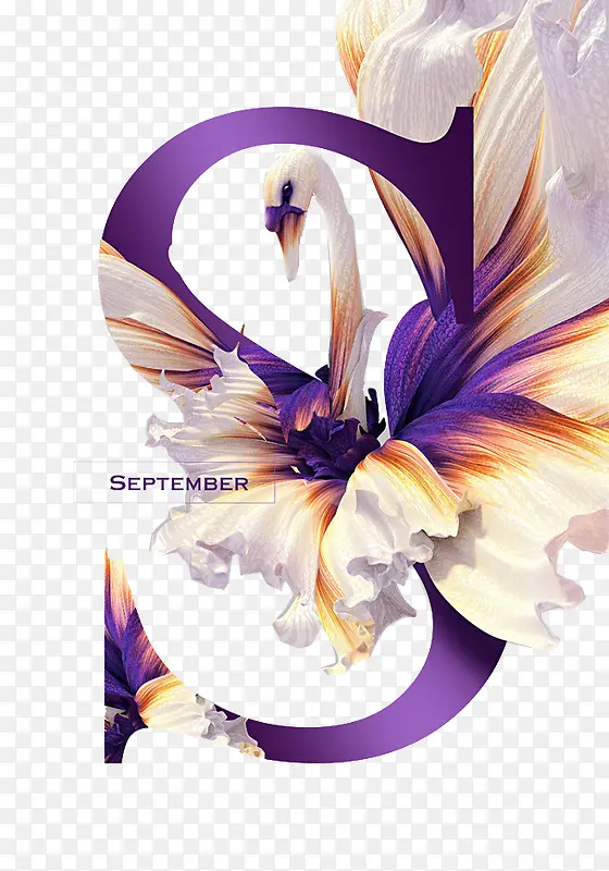 ��ĸ���-������