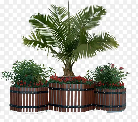 ������Ӱ��԰��̳��ɫ����-������