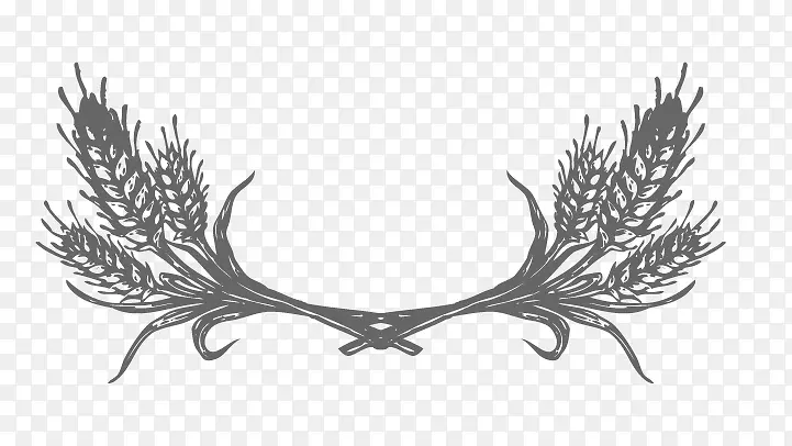 ����߿�-������