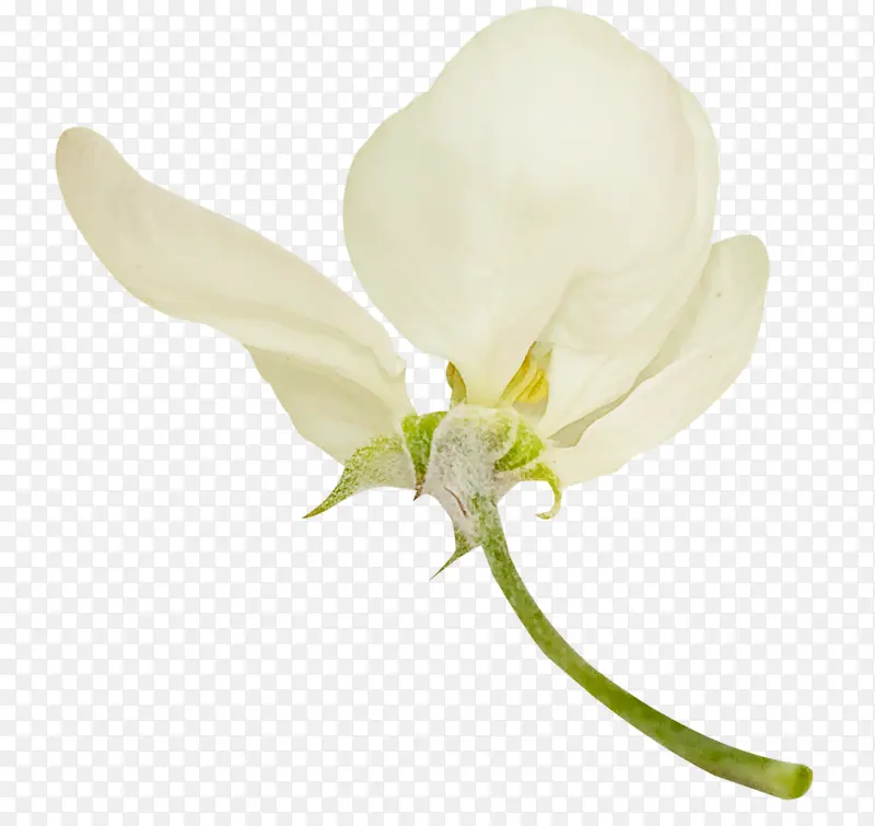 ��ɫ������-������