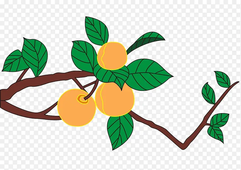 ��ͨ����-������