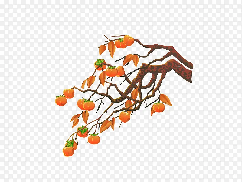 ��������ͨʸ���ز�-������