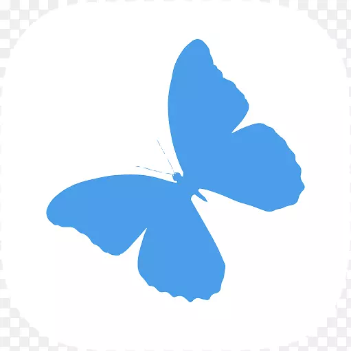 ����ЧӦ�Ǻ���Ƥ����������˹������-������