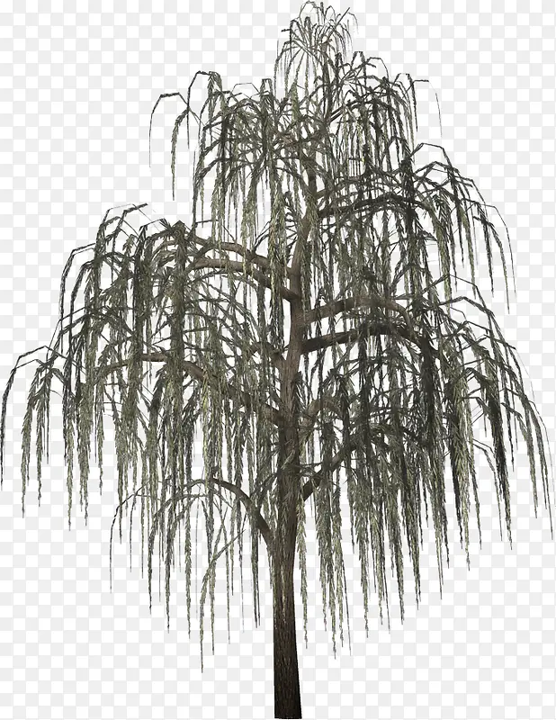 �ŷ�������֦-������