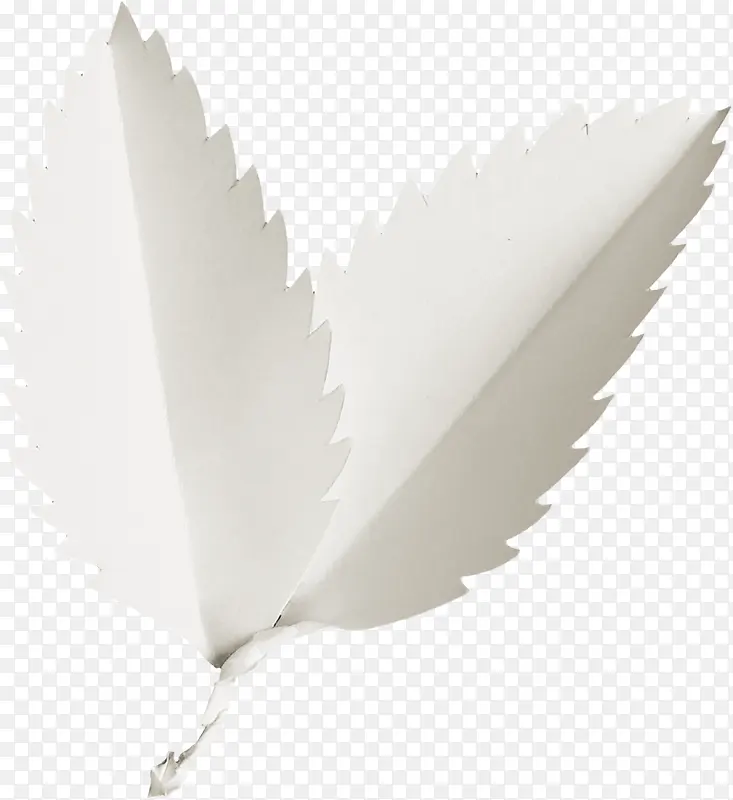 ��ɫ��Ҷ-������