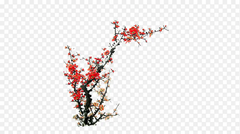 ˮ�� ÷��ר�� �й���-������