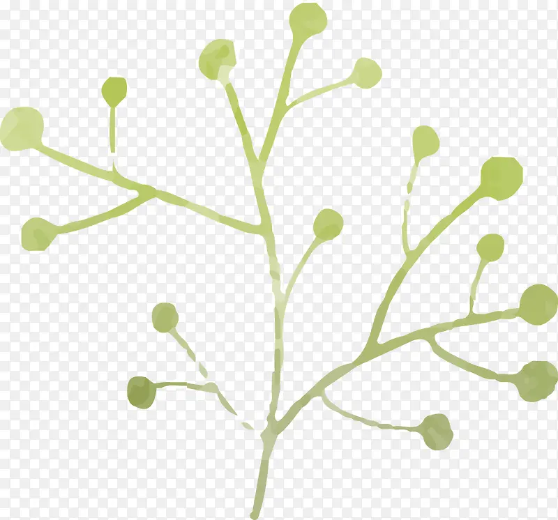 ˮ��Ҷ��-������