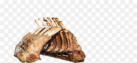 ������Ӱ�տ��Ź�-������