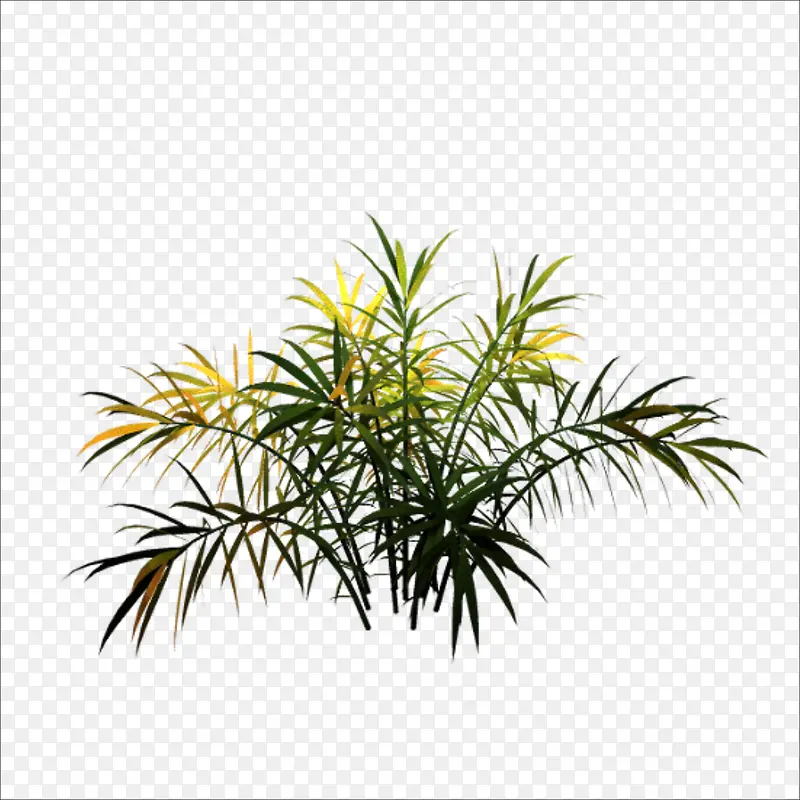 С��-������