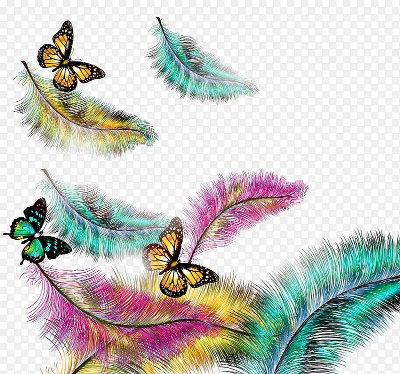 ������ɫ��ë-������