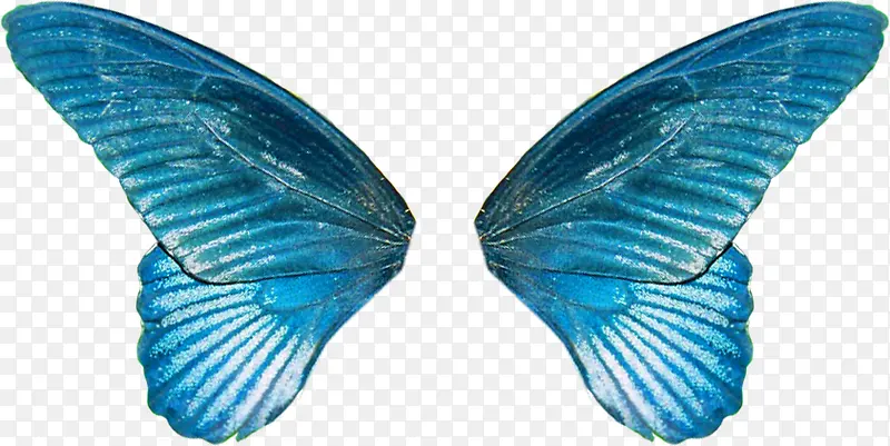 ������ë���-������