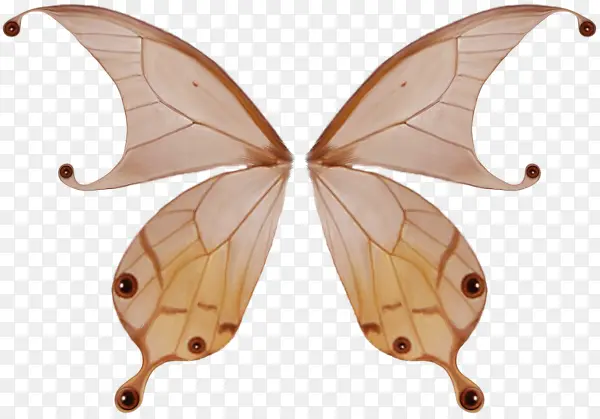 �������װ��-������