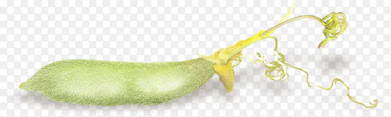 �߲˶���-������