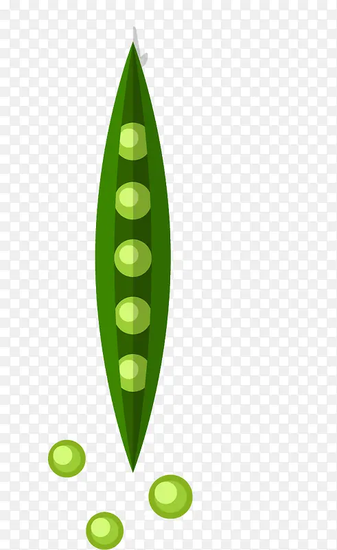 ʸ���߲˶���-������