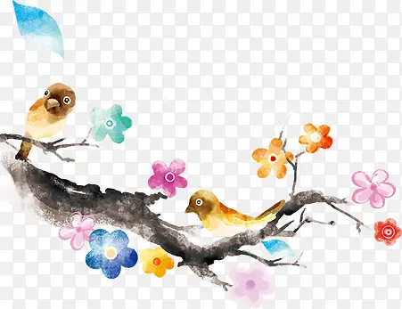 ��֦-������