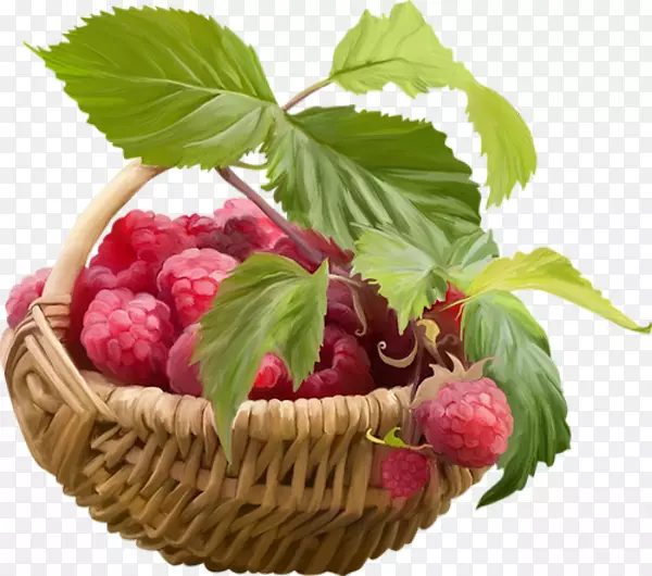 �����ӹ���ݮʳƷ-ˮ����-������