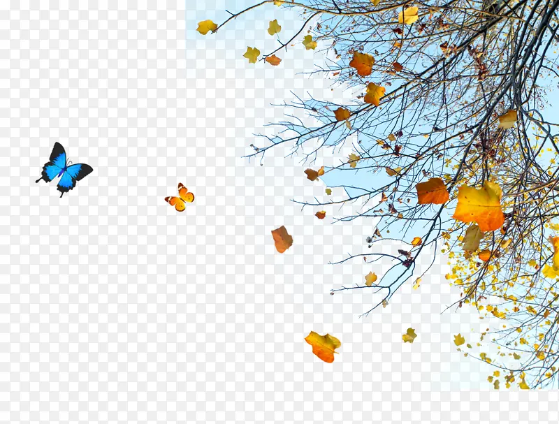 ����������-������