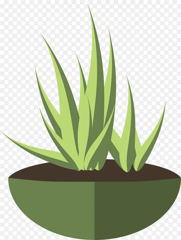 ��ɫ��ͨ�ݴ�-������