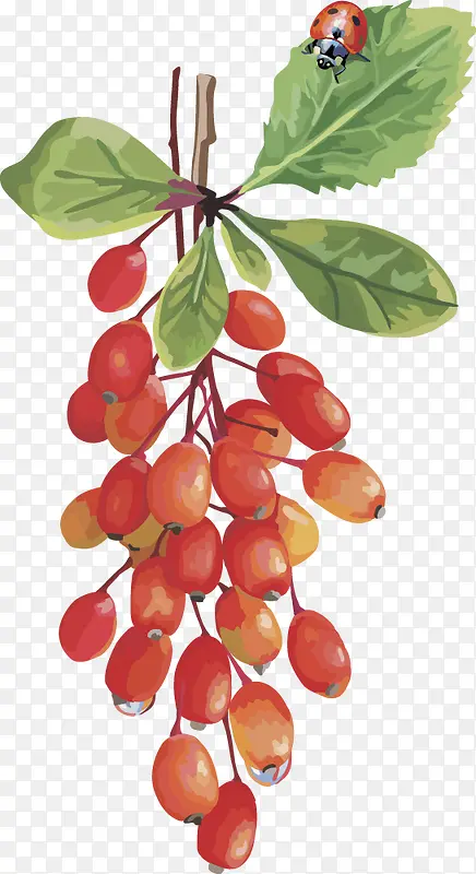 ˮ��ʸ��ͼ���Ѻ���-������