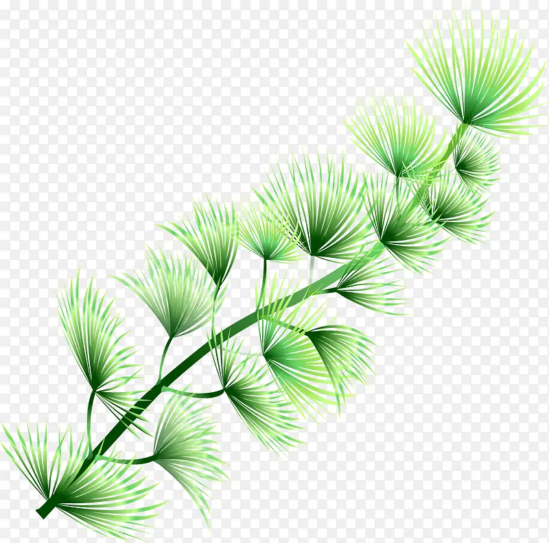 �ֻ溣��ˮ��ֲ��-������