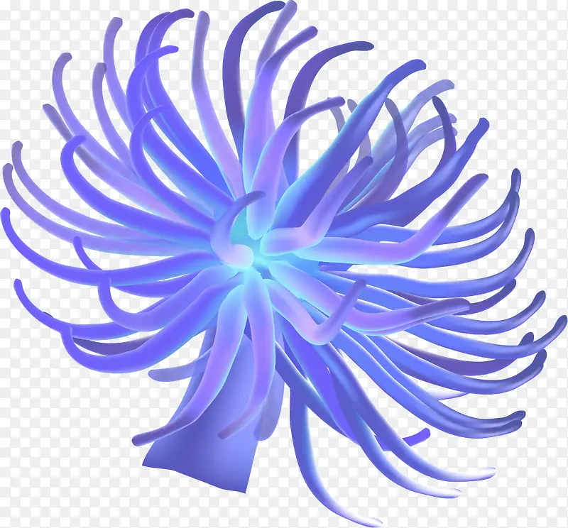 �ֻ溣��ˮ��ֲ��-������