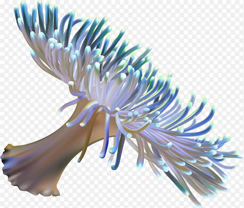 �ֻ溣��ˮ��ֲ��-������