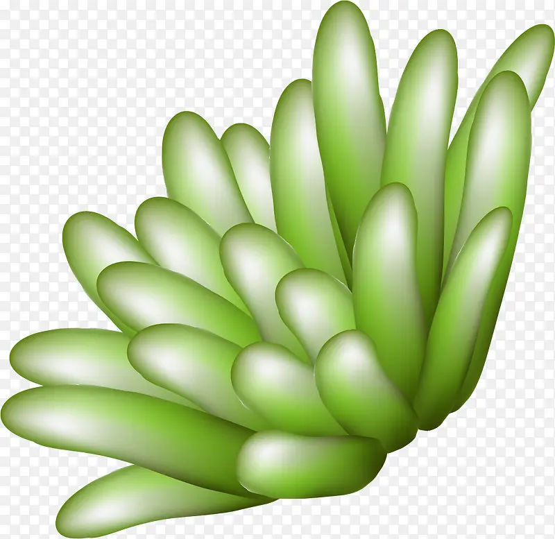 �ֻ溣��ˮ��ֲ��-������