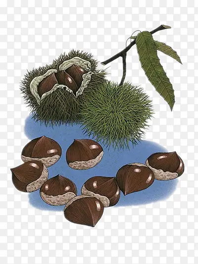 �ֻ����-������