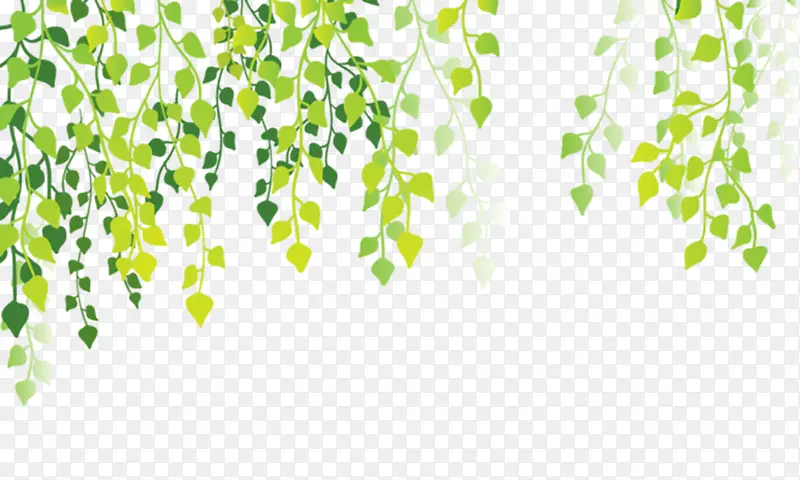 ��ɫҶ�ӱ����ز�-������