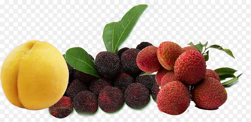 ˮ������÷��֦-������