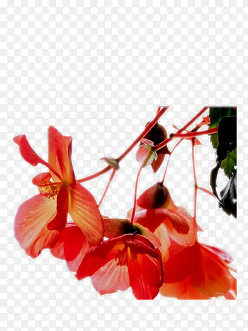 ˮ�ʺ���-������