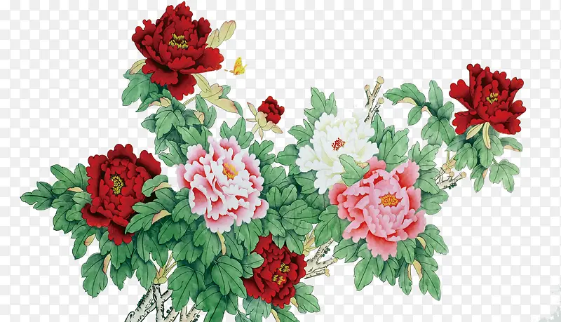 �ϳ�ˮ�ʺϳɺ��Ļ�ֲ��-������