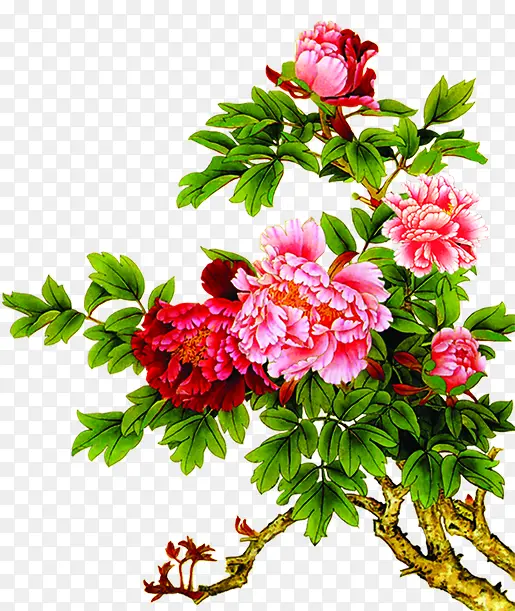 ˮ�ʺϳ��ֻ溣�Ļ��ϳ�-������