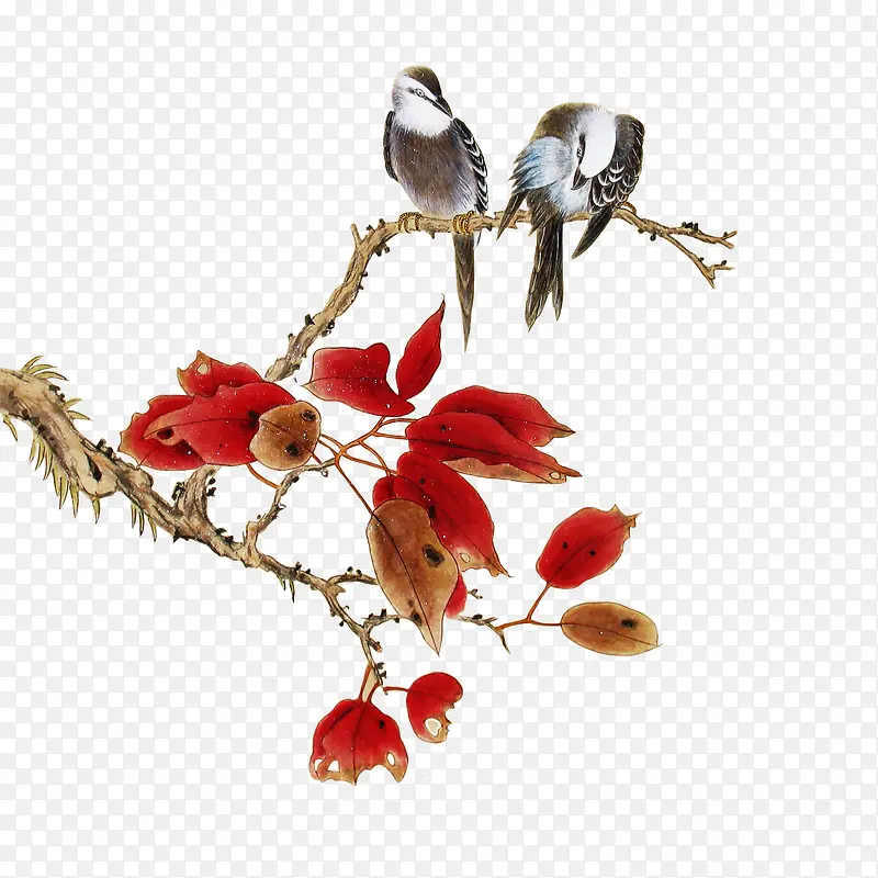 ϲ��֦ͷ-������