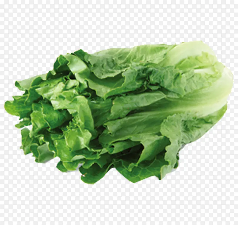 ��ɫ�߲�-������