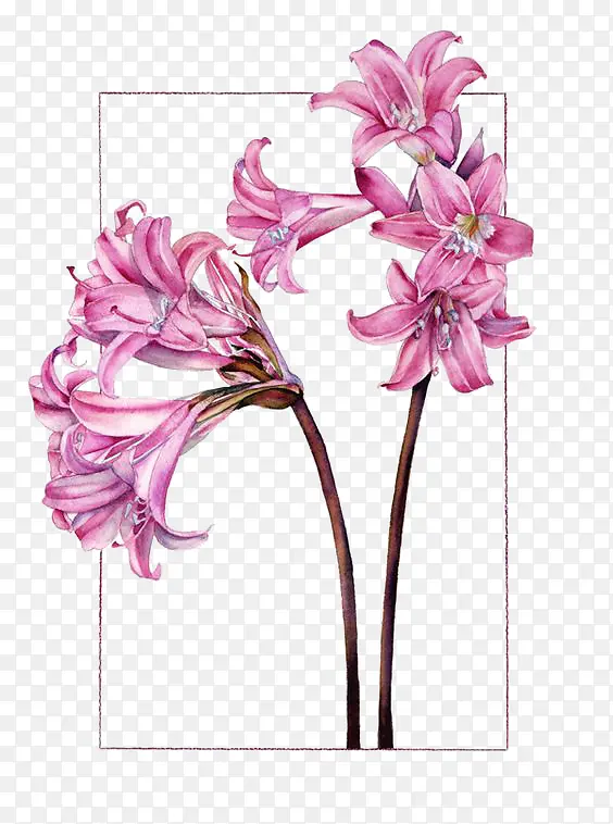 ˮ���ֻ���ɫ�ٺϻ�-������