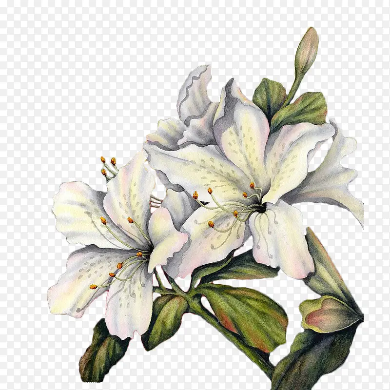 ˮ�ʰװٺ�-������