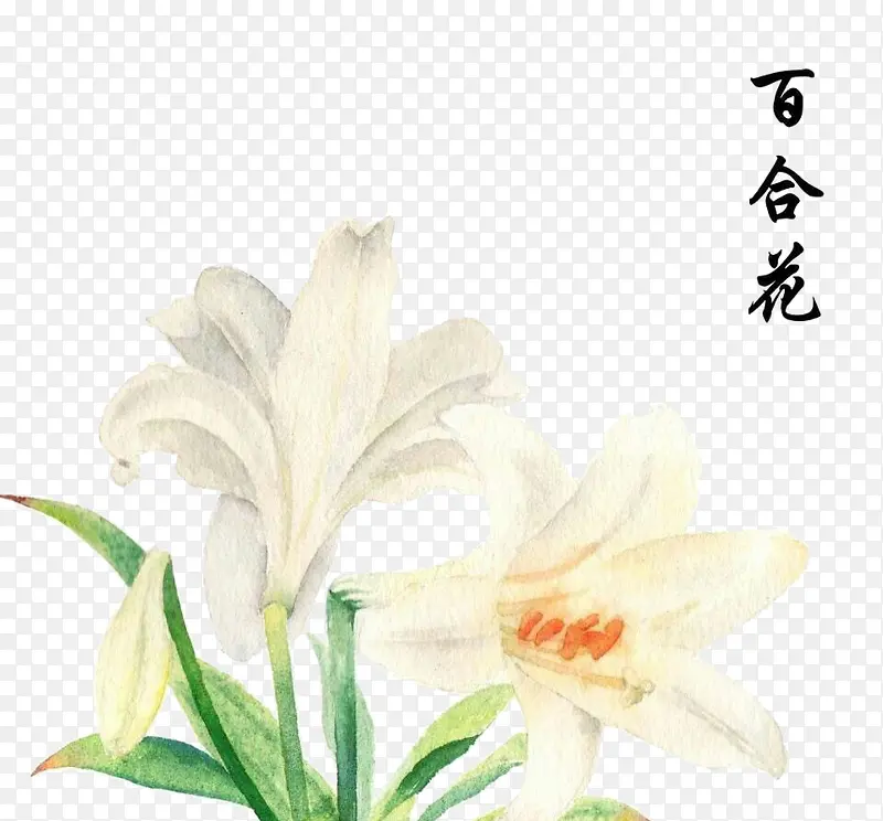 �ٺϻ�ˮ���ֻ�廭-������