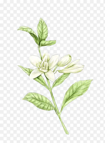 �ٺϻ��廭-������