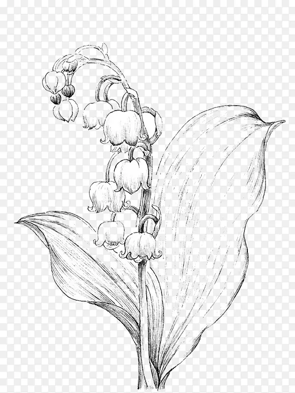 ��ɫ��д����-������