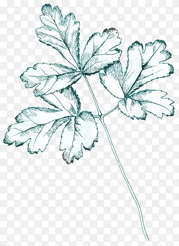 ��ͨ�ֻ���ɫ��Ҷ-������