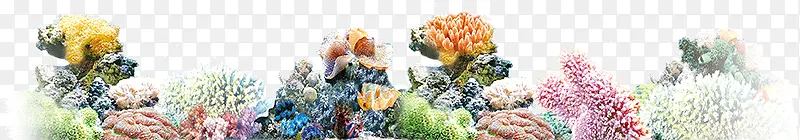 ɺ�� ���� ��ɫ ��ɫ-������