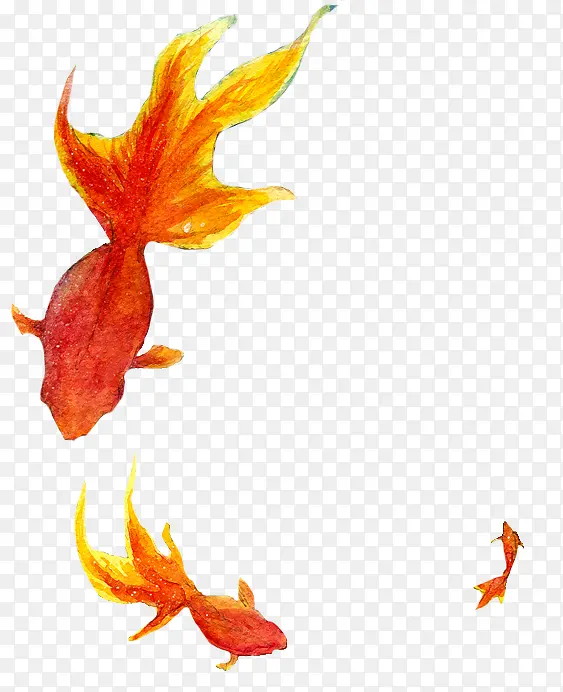 �����ֻ��ɫ-������