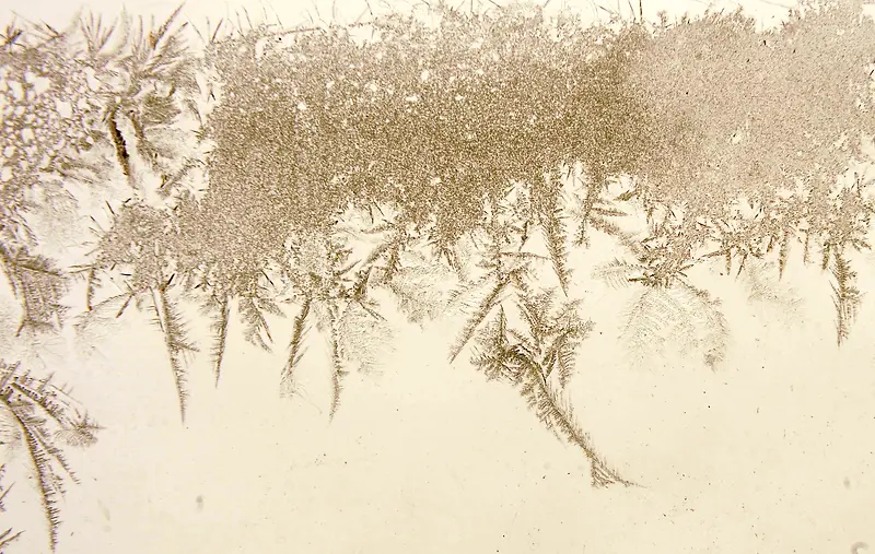 ѩ����������-������