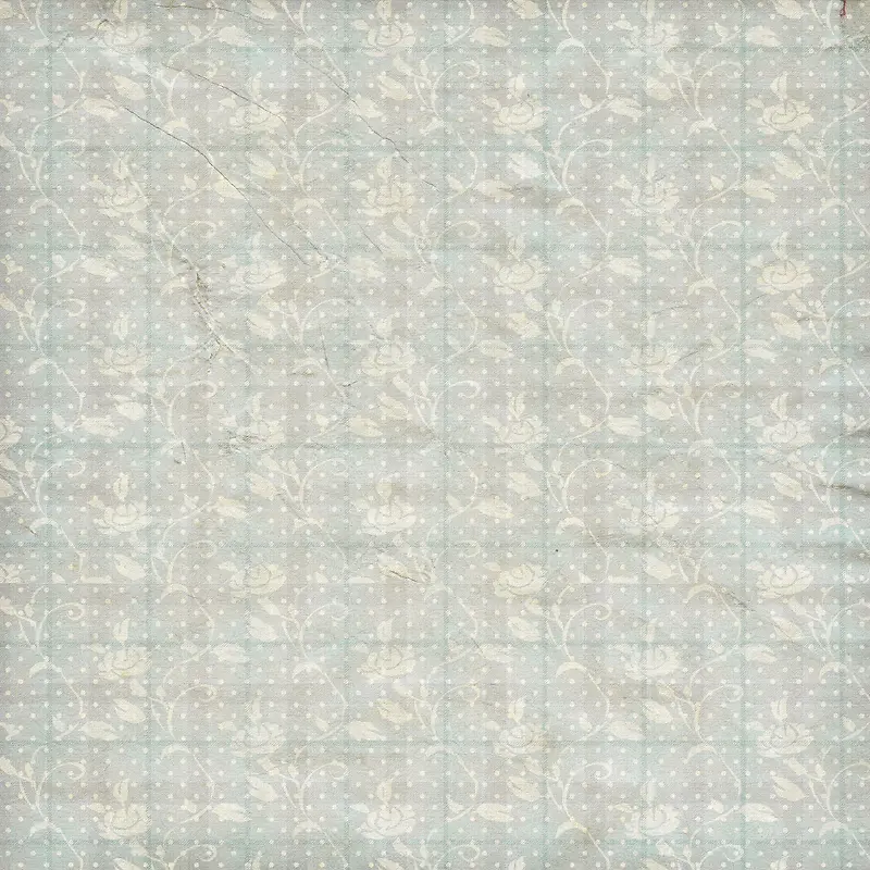 ���Ż��Ʊ���-������