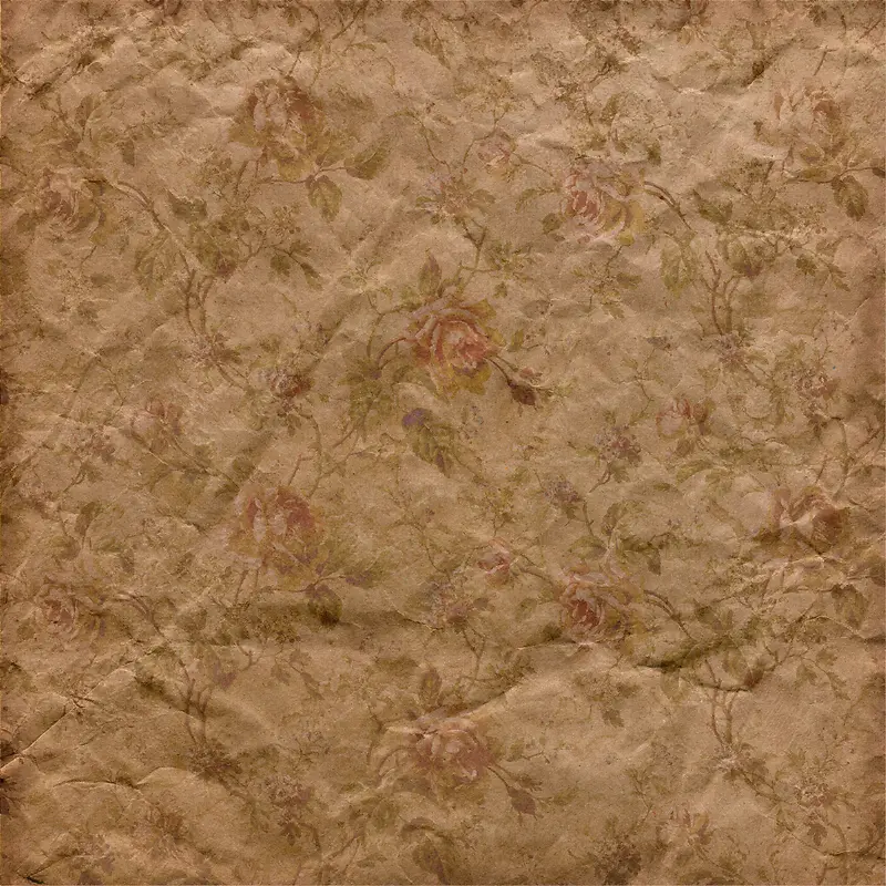 �ŵ仨�Ʊ���-������